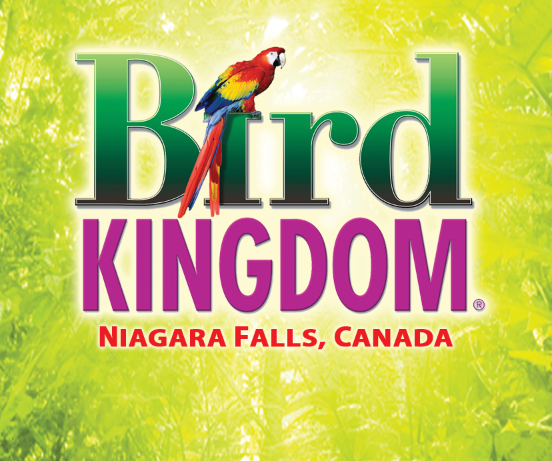 bird kingdom