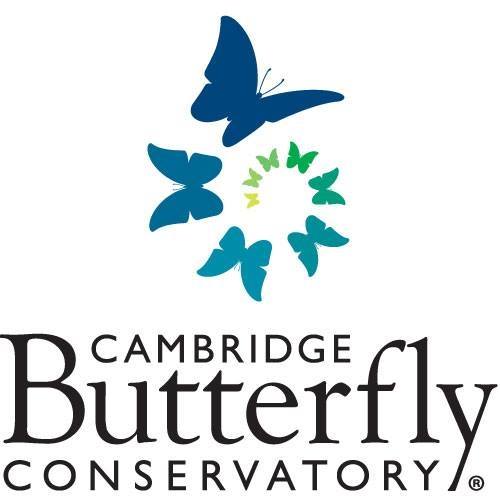 cambridge butterfly conservatory