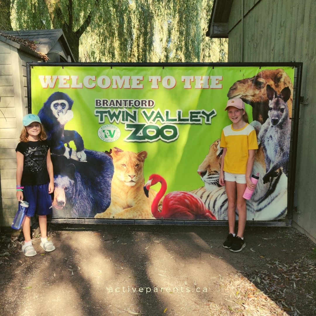 Opening gates at Brantford Zoo