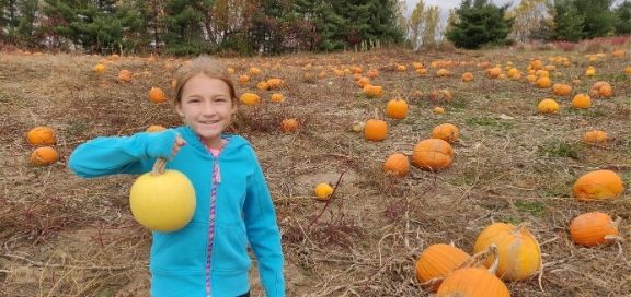 pick your own pumpkin patches and farms