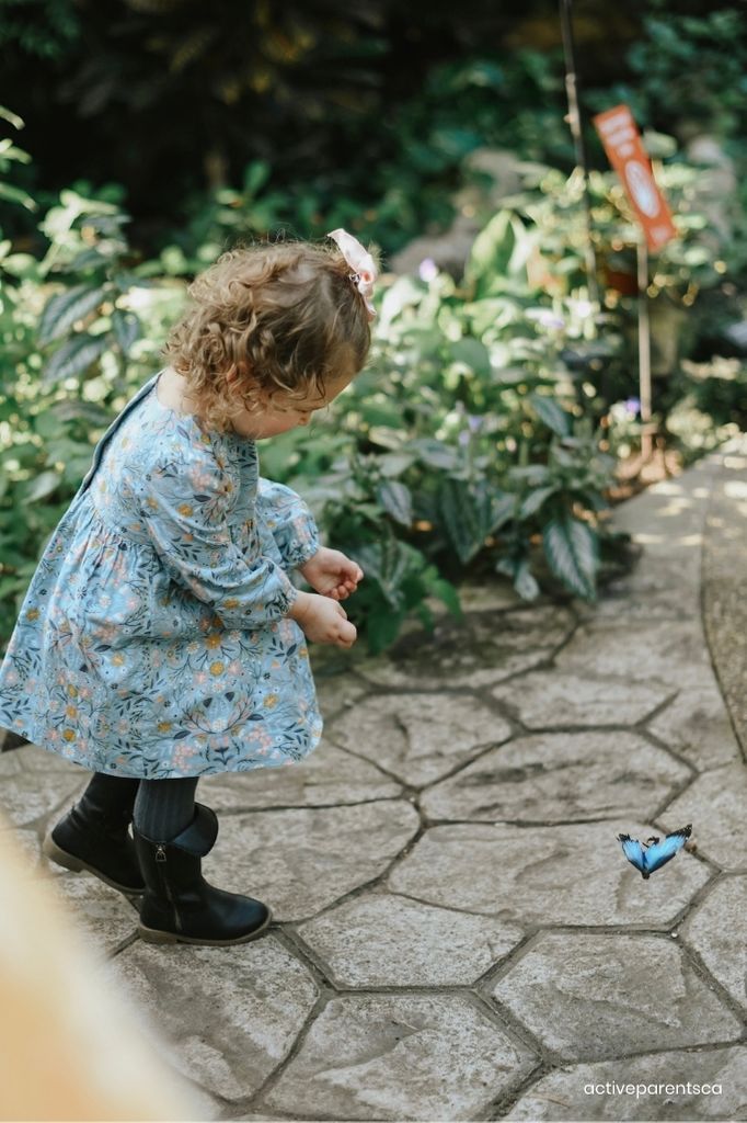 little girl exploring the Cambridge butterfly conservatory 