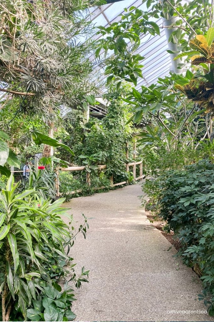 Cambridge butterfly conservatory walkway