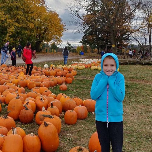 pick your own pumpkin patches and farms pick your own pumpkin patches and farms