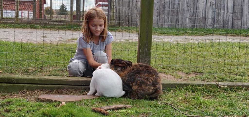 Bronte Creek Park rabbits and animals