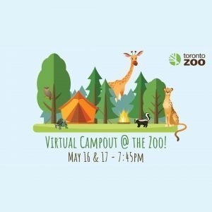 Toronto Zoo Camp Out