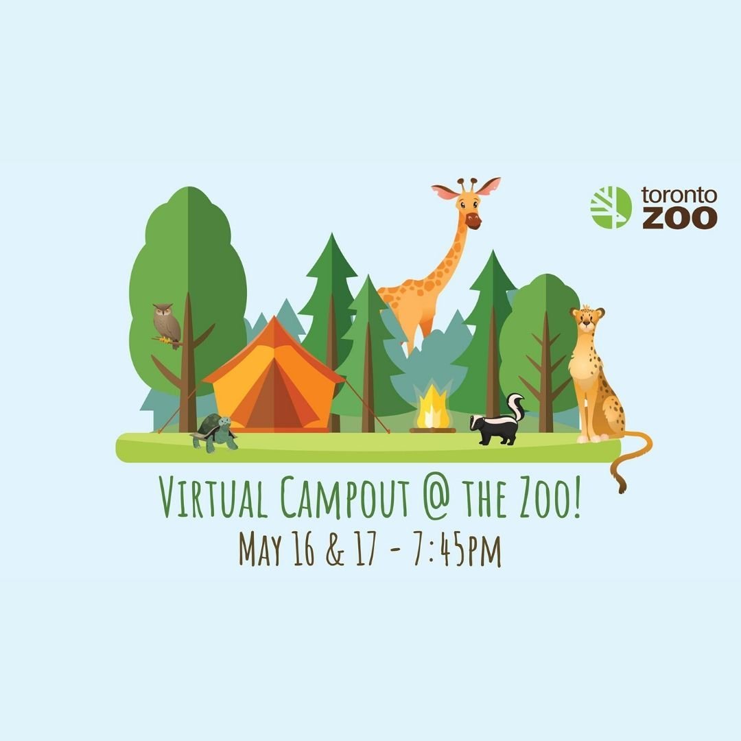 Toronto Zoo Camp Out
