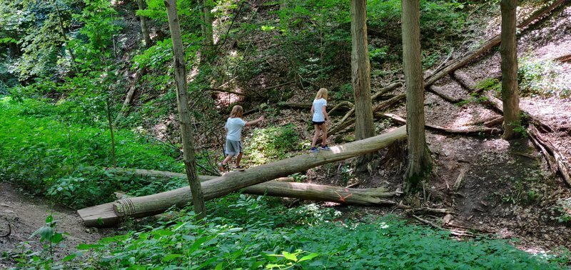 hiking with kids in hamilton chedoke radial trail