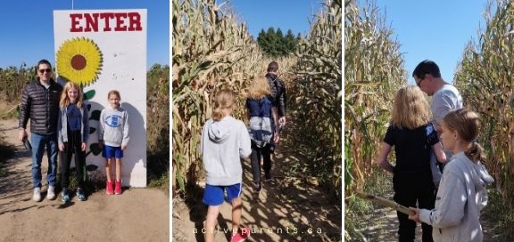 Hanes Corn Maze