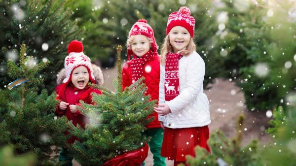 Christmas Tree Kids