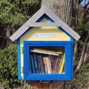 little free library header image