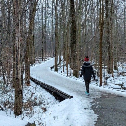 stroller-friendly trails in hamilton