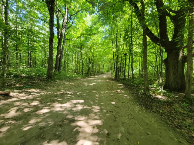 hiking trails near me halton hiking trails Hilton Falls Walkway