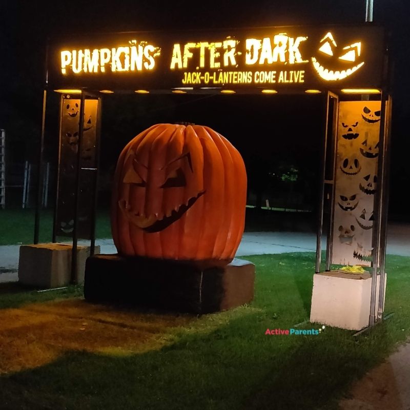 pumpkins after dark