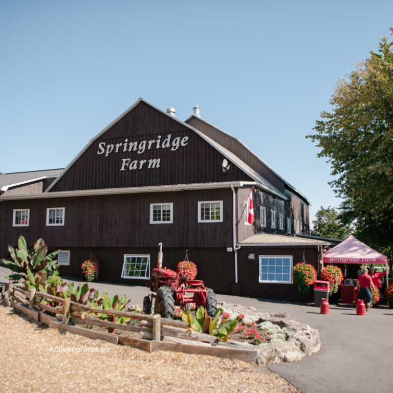 Springridge Farm in Milton, near Oakville and Burlington