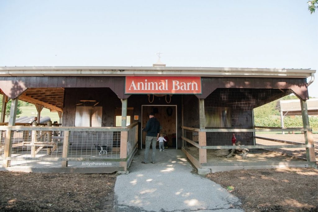 Animal farms in Milton