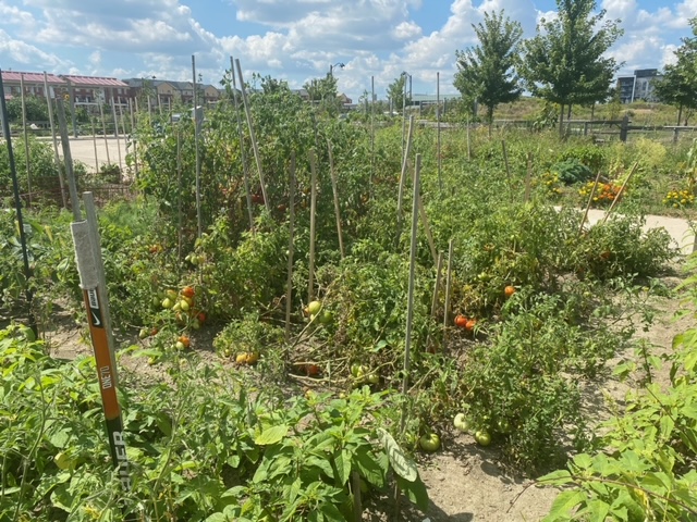 Gardens at Memorial Park in Oakville