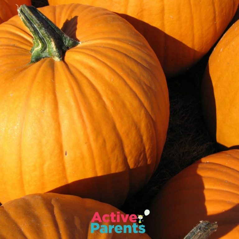 Donate Your Pumpkins