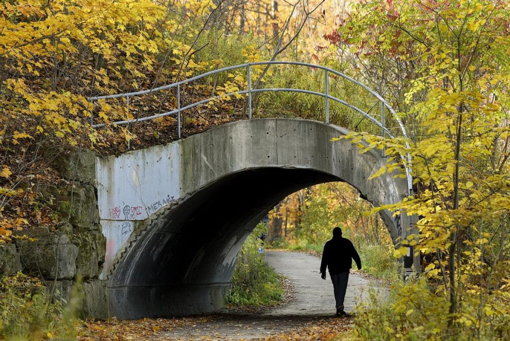 CHEDOKE RADIAL TRAIL