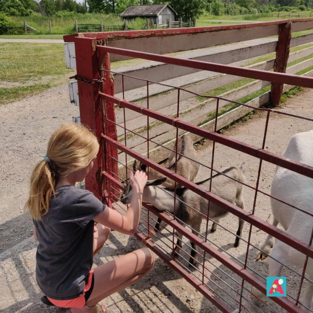 Bronte Creek Provincial Park Events