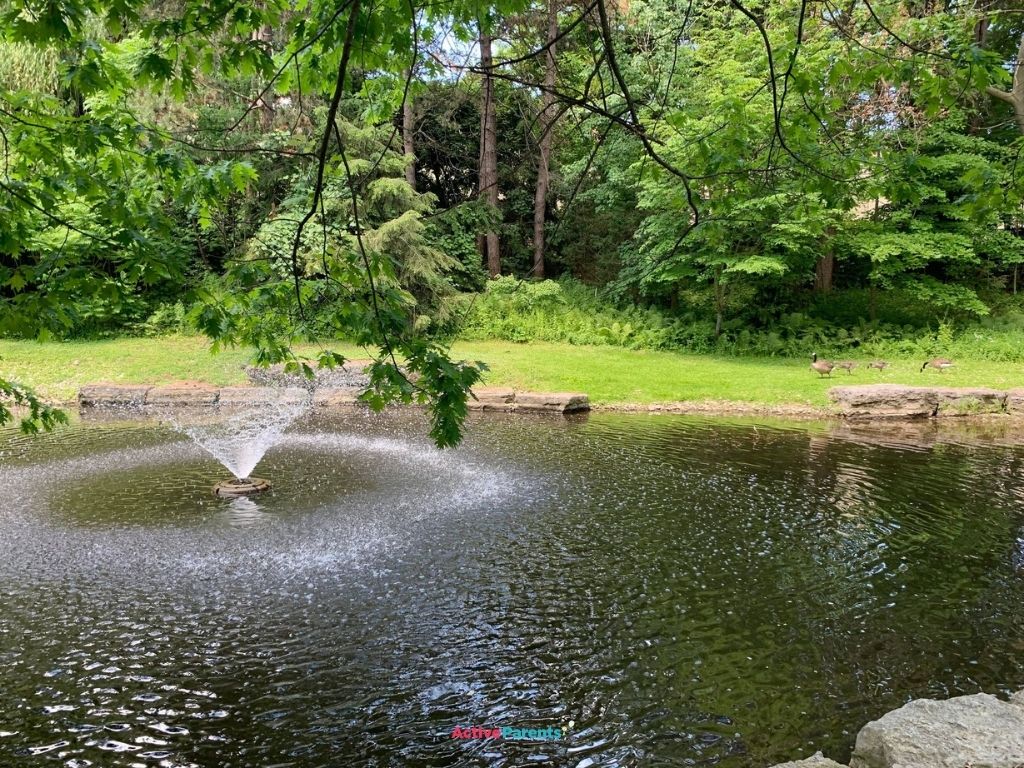 the pond at happy rolph's animal farm