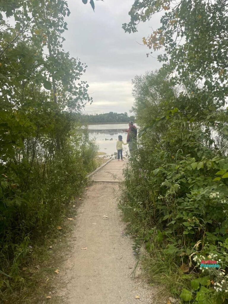 take a stroll to the mountsberg reservoir