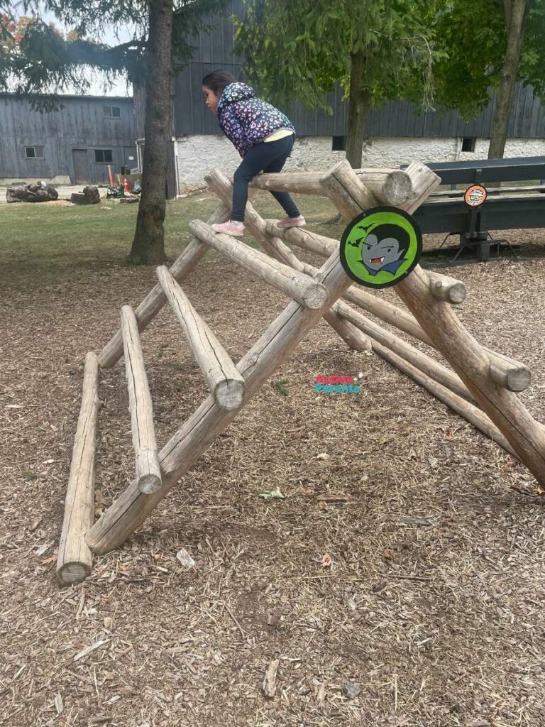 mountsberg conservation area wooden play equipment