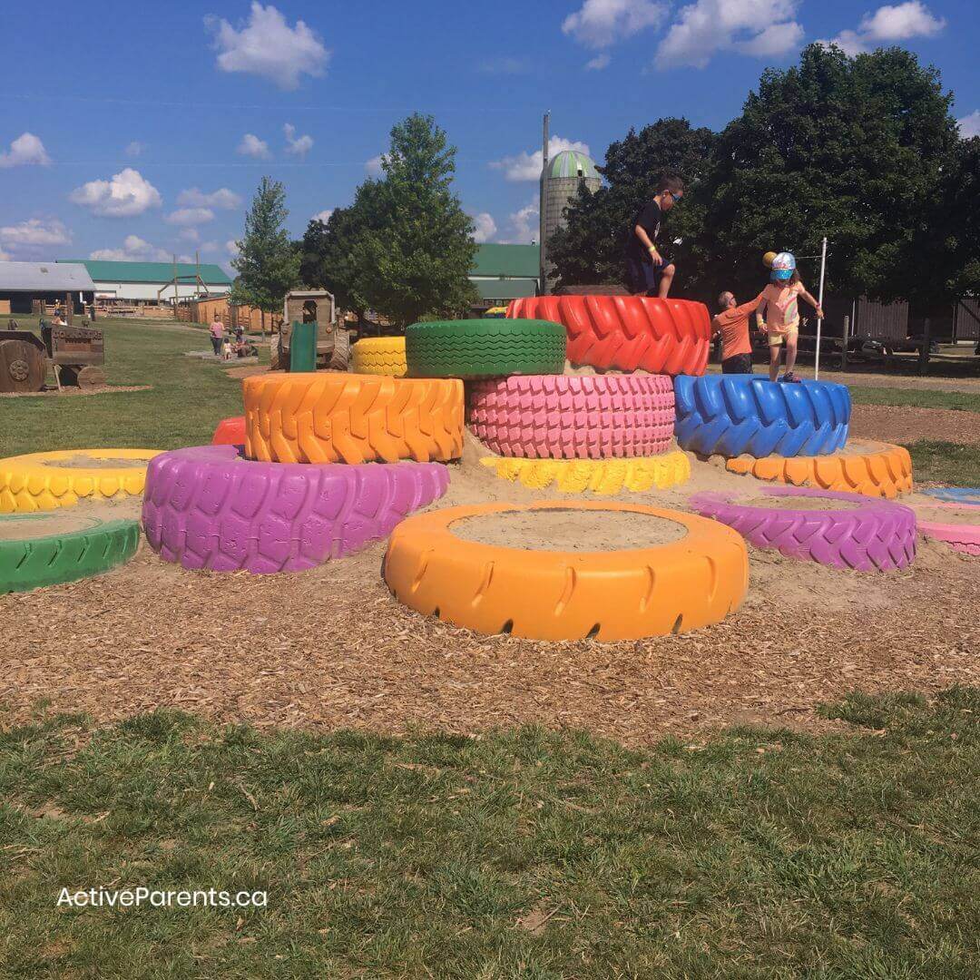 Downey s Farm Welcomes You To Pumpkin Fest And More 