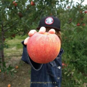 Pick Your Own Apple Orchards Header Image