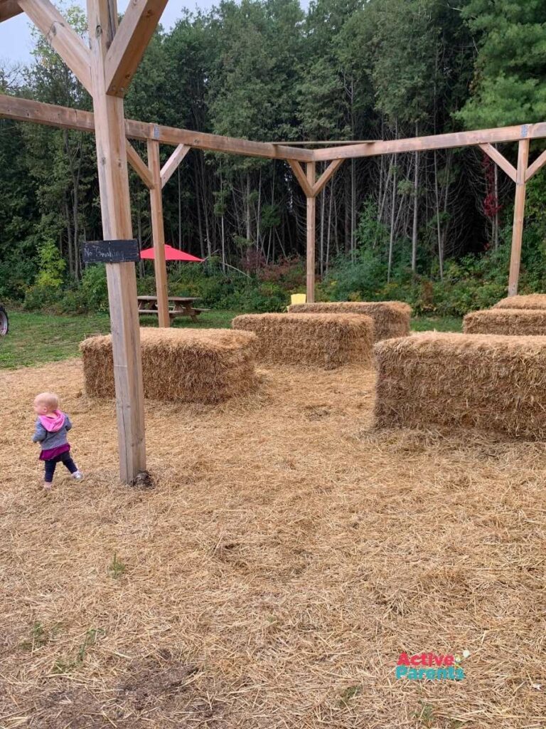 Hay bales for running and jumping at the Apple Orchard