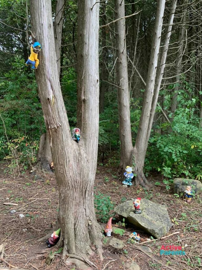 hidden gnomes at the apple orchard in hamilton