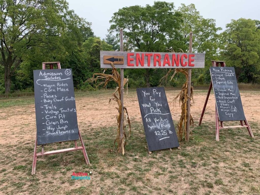 apple varieties at the apple farm