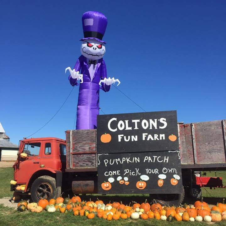 Colton's Fun Farm is a must-visit spot!