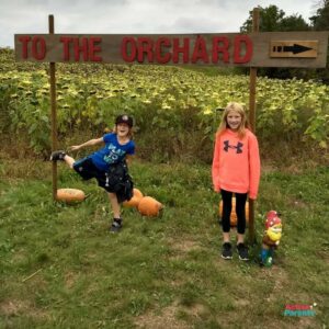 The Apple Orchard header image