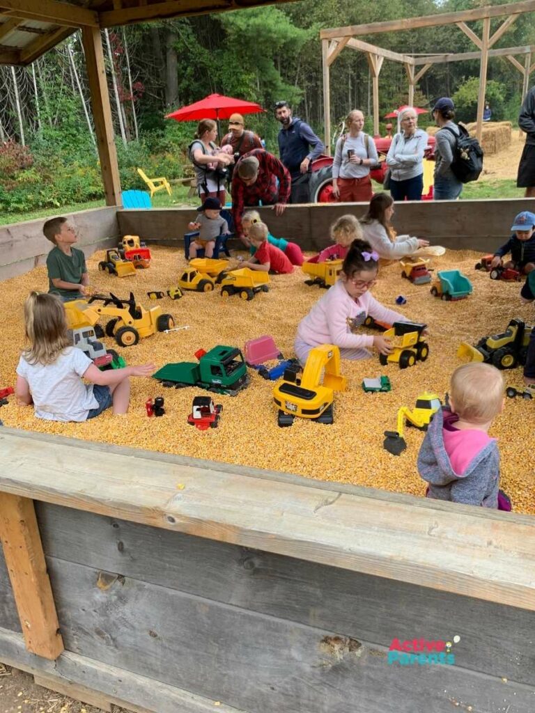 kids playing in the corn pit at the apple farm