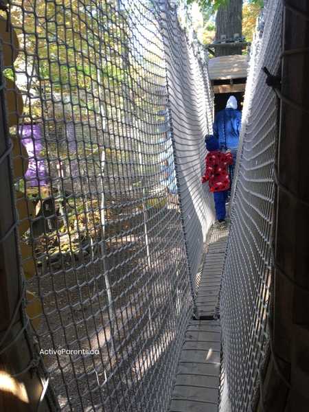 Little child walking through treetop trekking in hamilton