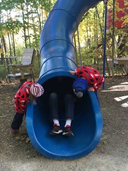 children looking up the tube slide at Treetop Trekking Hamilton
