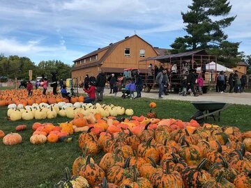 The variety of pumpkins at Andrew's Scenic Acres is impressive!