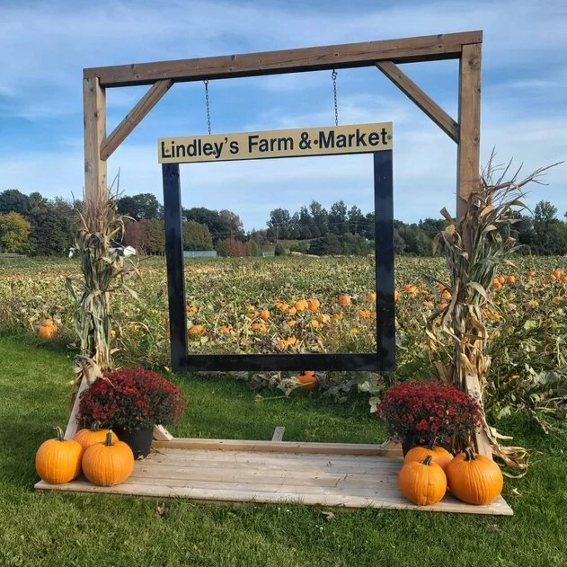 So many pumpkin sizes and varieties at Lindley's 