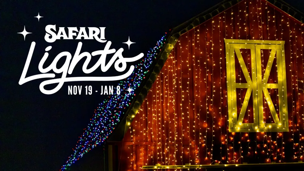 Safari Lights at Safari Niagara