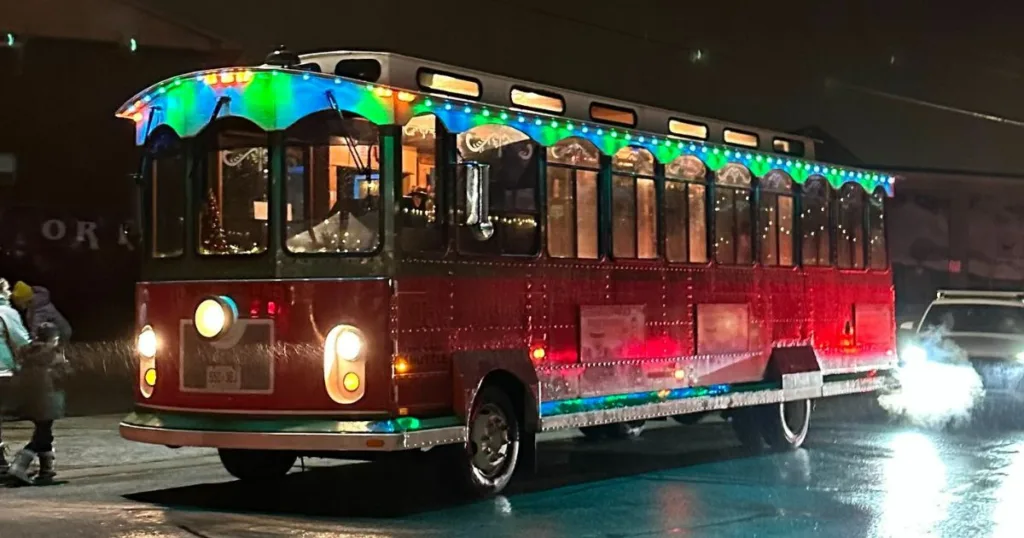 winter christmas lights train ride