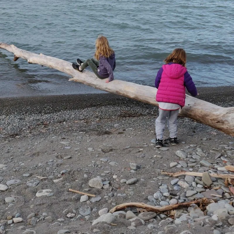 waterfront beachside lake ontario at confederation beach park in hamilton