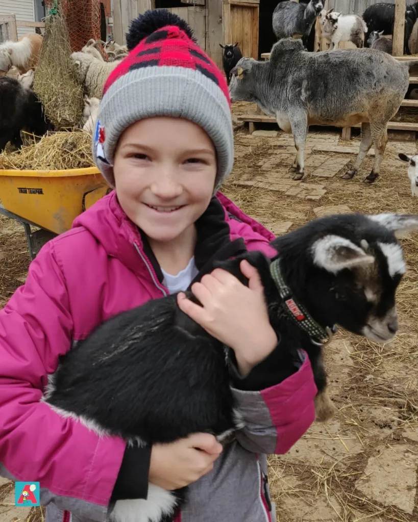 Addison correctly holding a triple c farm baby goat