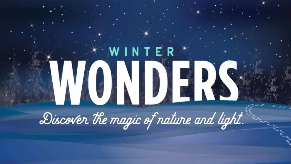 Winter Wonders At Royal Botanical Gardens