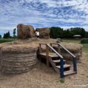 Andrews Scenic Acres Farm Market – Active Parents