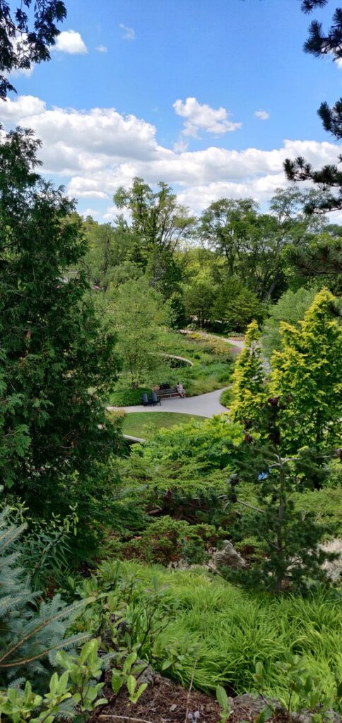 aerial view of rbg The Rock Garden