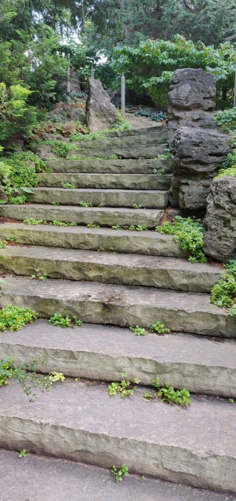 The Rock Garden stone stairs and pathways
