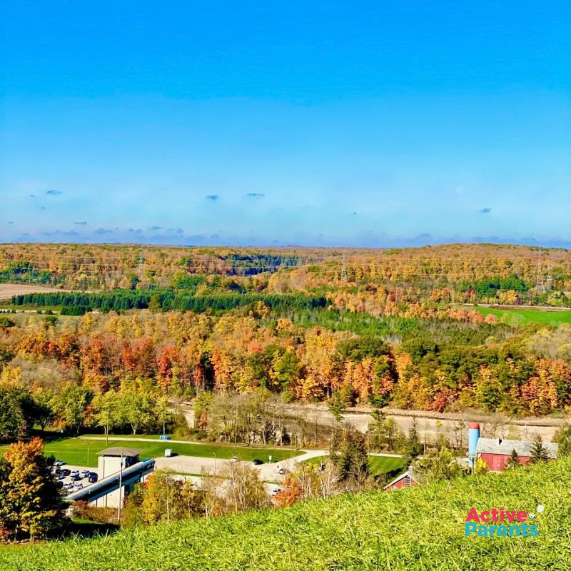 aerial views from the kelso chairlift rides at kelso conservation area